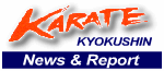 kyokushin-union.com